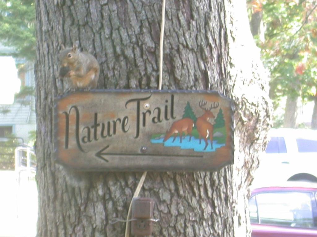 Indian Trail Motel Wisconsin Dells Kültér fotó